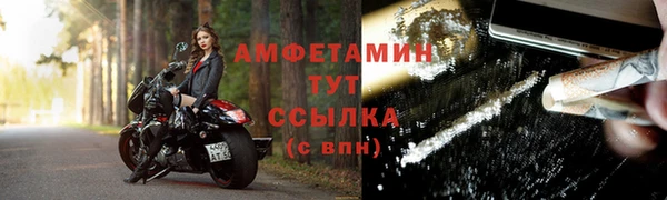 Альфа ПВП Пересвет