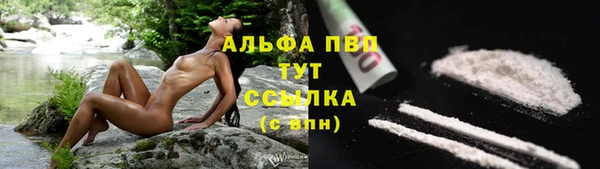 эйфоретик Осташков