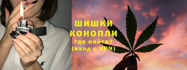 Альфа ПВП Пересвет