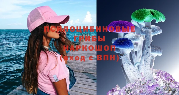 Альфа ПВП Пересвет