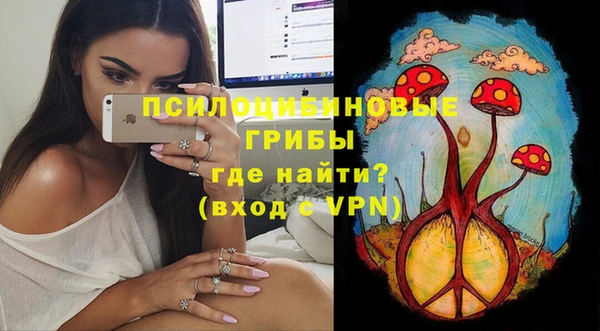 герыч Пестово